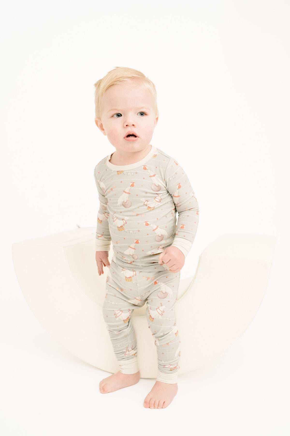 Circus Seal Bamboo Set