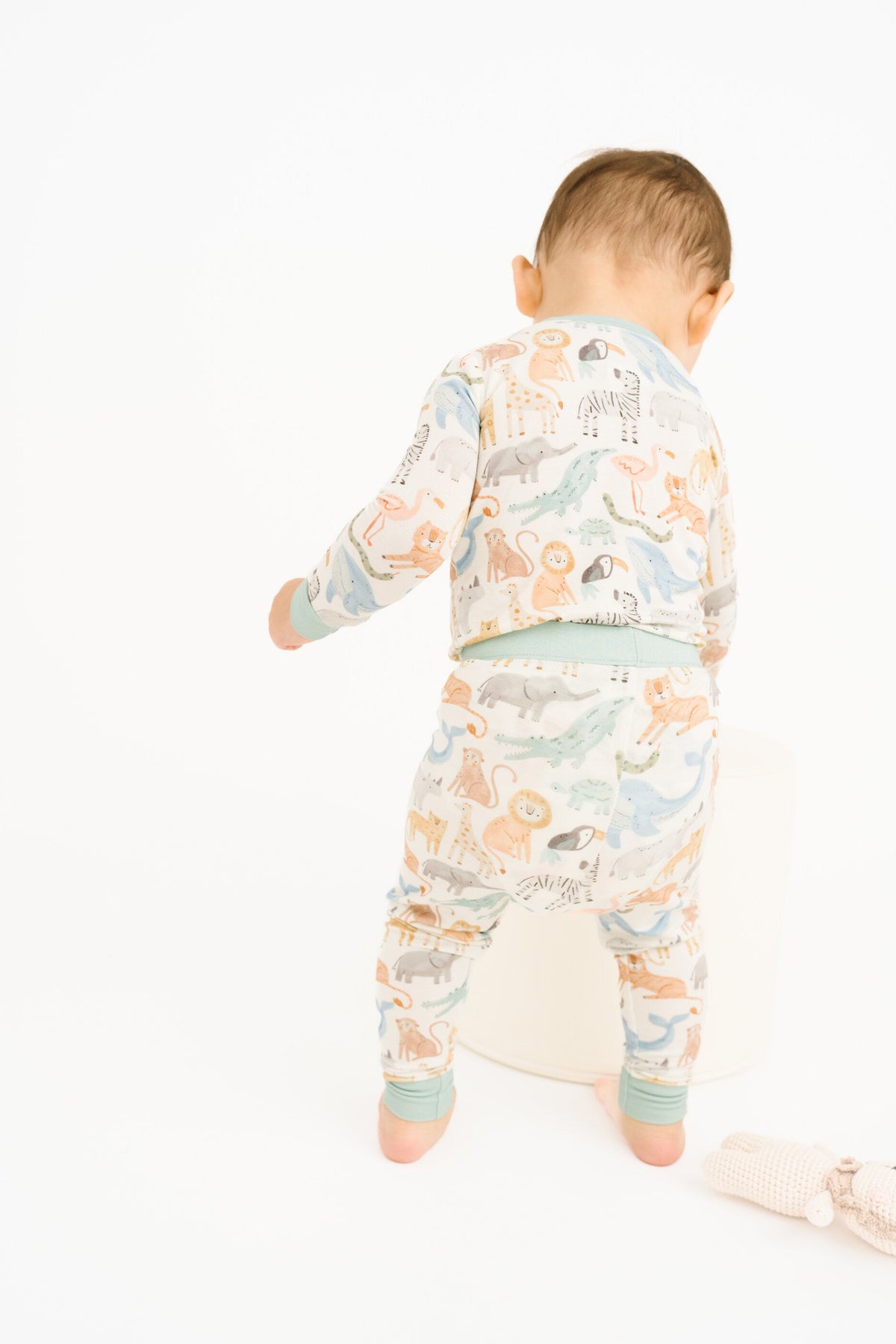 Wild Wonders Bamboo Set