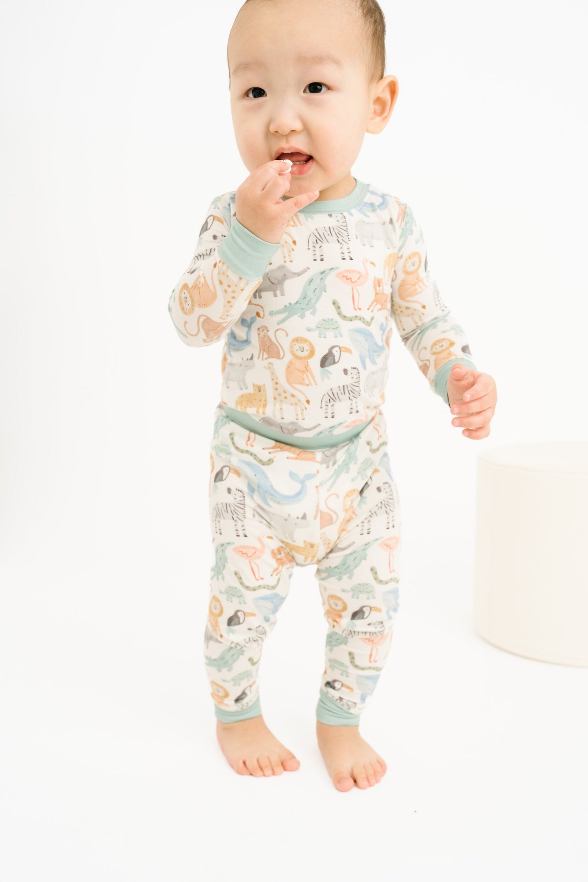 Wild Wonders Bamboo Set