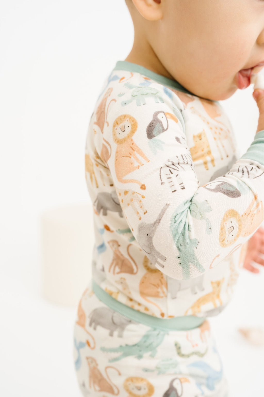 Wild Wonders Bamboo Set