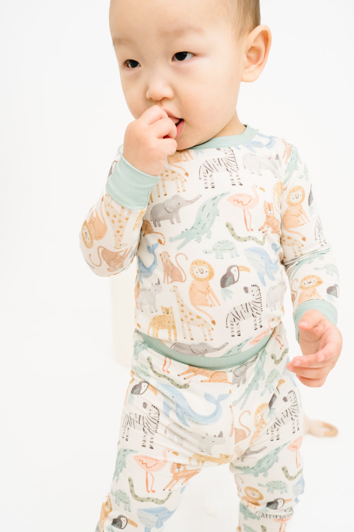 Wild Wonders Bamboo Set