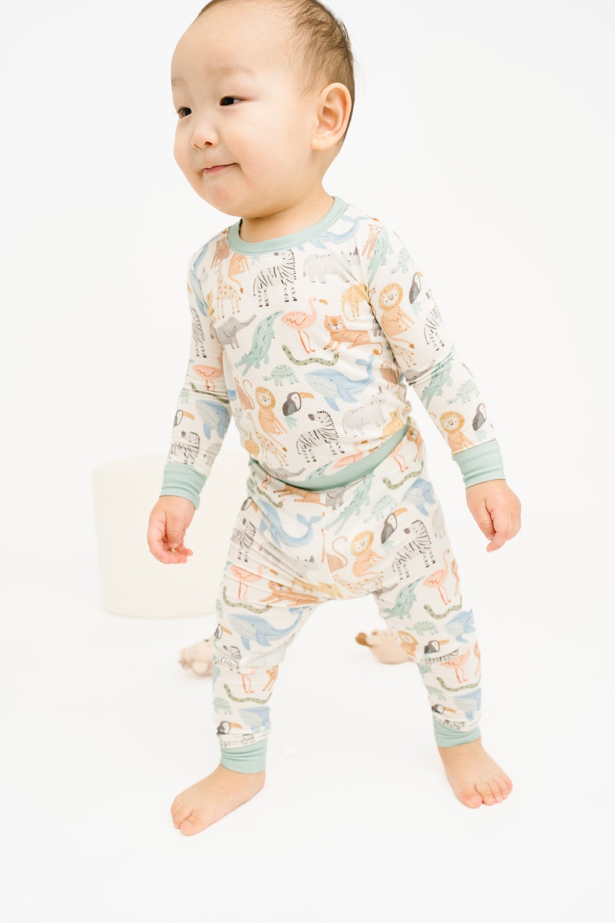 Wild Wonders Bamboo Set